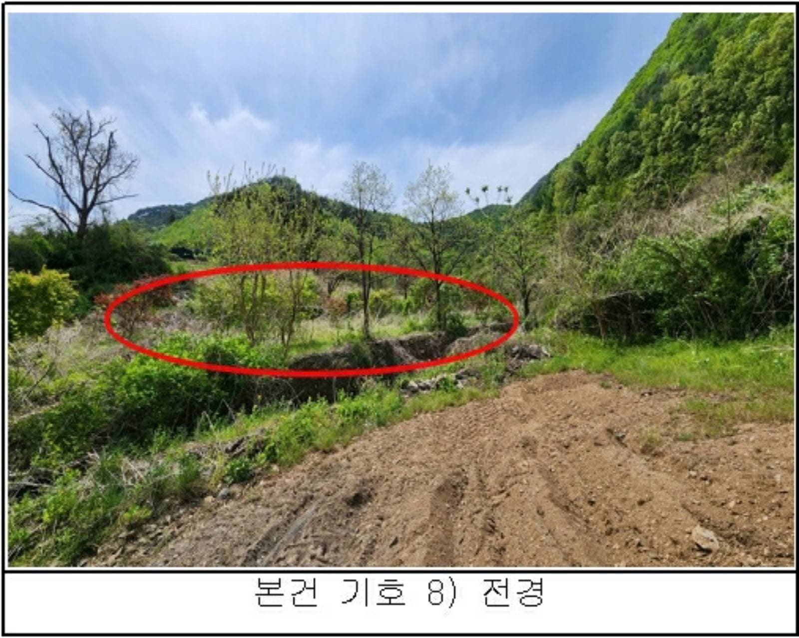 충청북도 옥천군 청성면 양저리 343