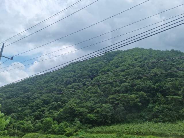 충청북도 충주시 살미면 공이리 22-2