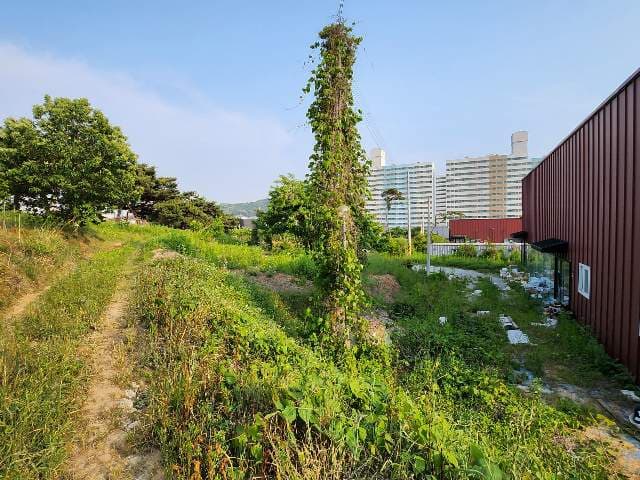 충청남도 아산시 탕정면 동산리 415-23