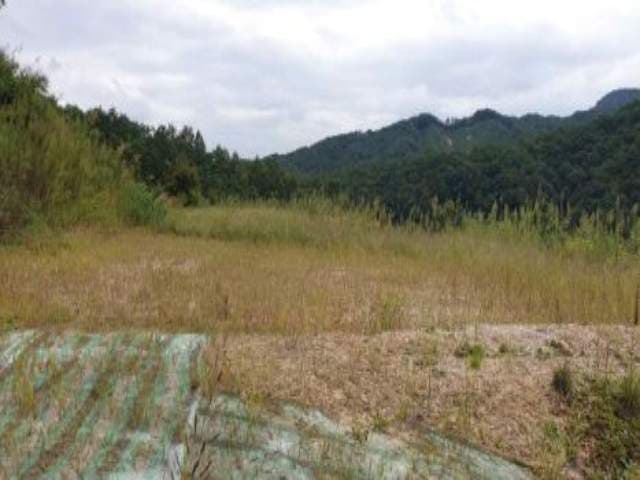 충청북도 제천시 봉양읍 삼거리 산 190-1 임야