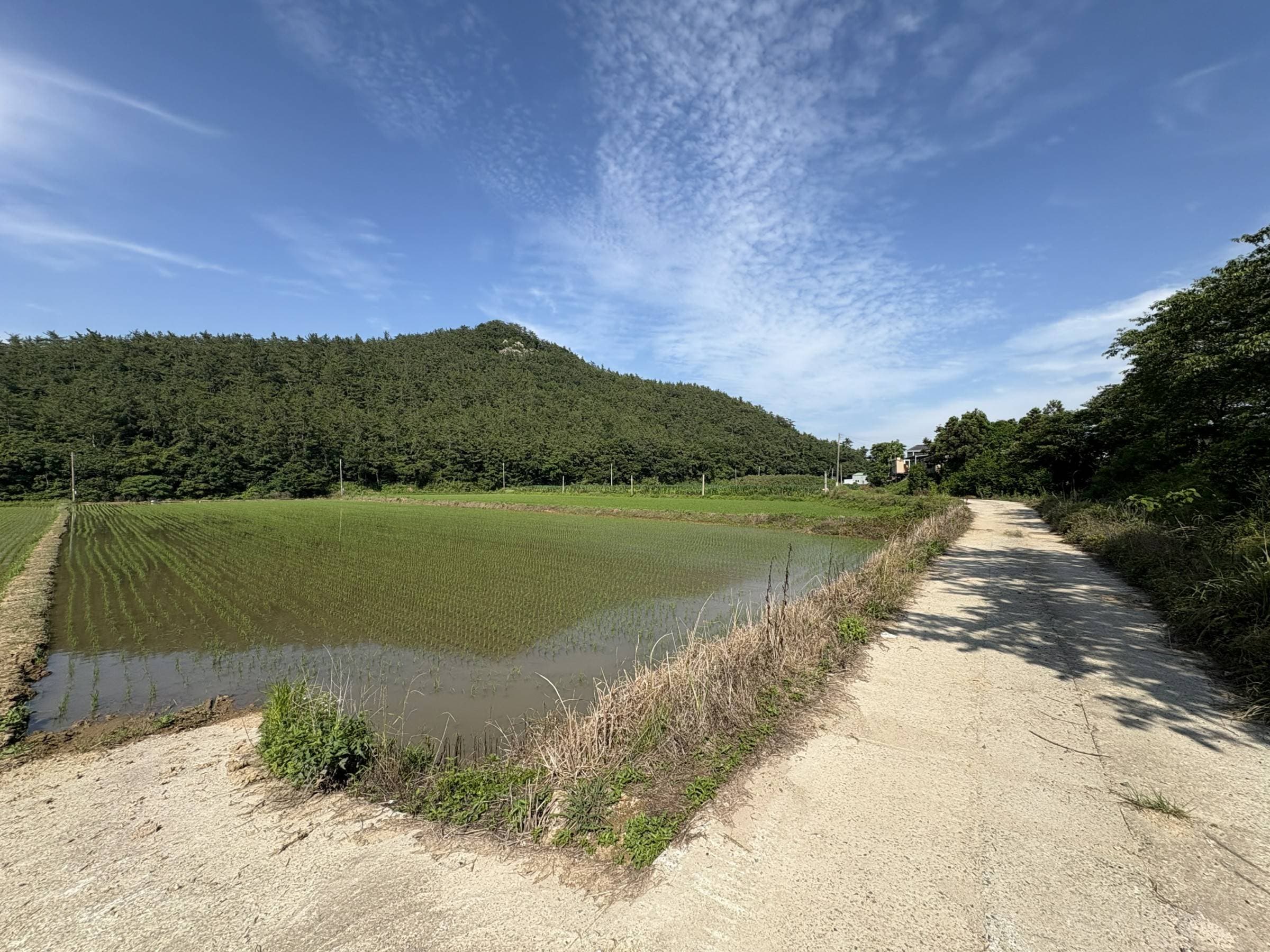 전라남도 진도군 지산면 보전리 1234-5