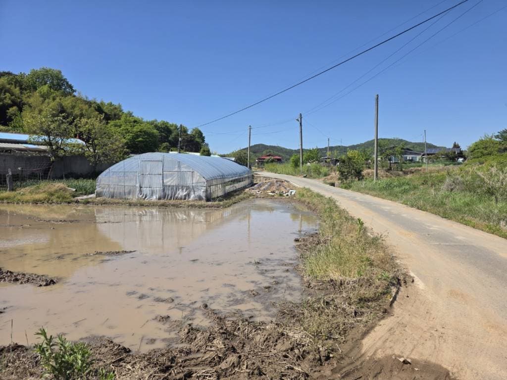 충청남도 당진시 면천면 성하리 107