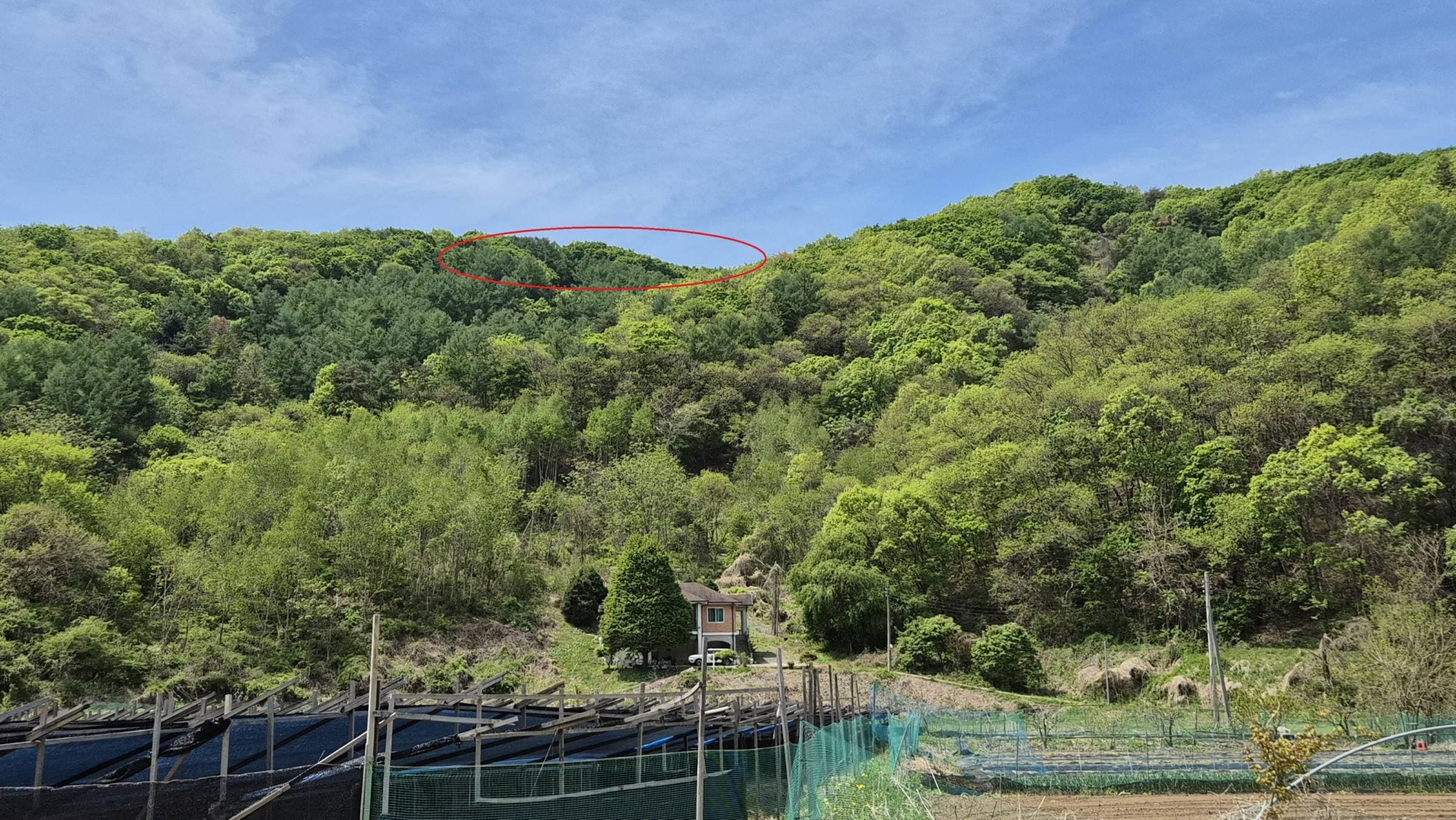 강원특별자치도 춘천시 남산면 백양리 산192