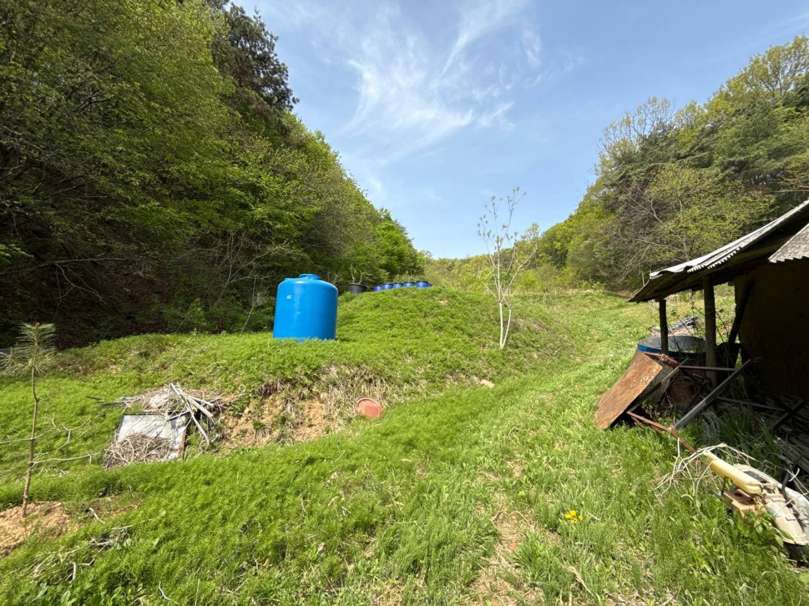 세종특별자치시 장군면 송학리 433