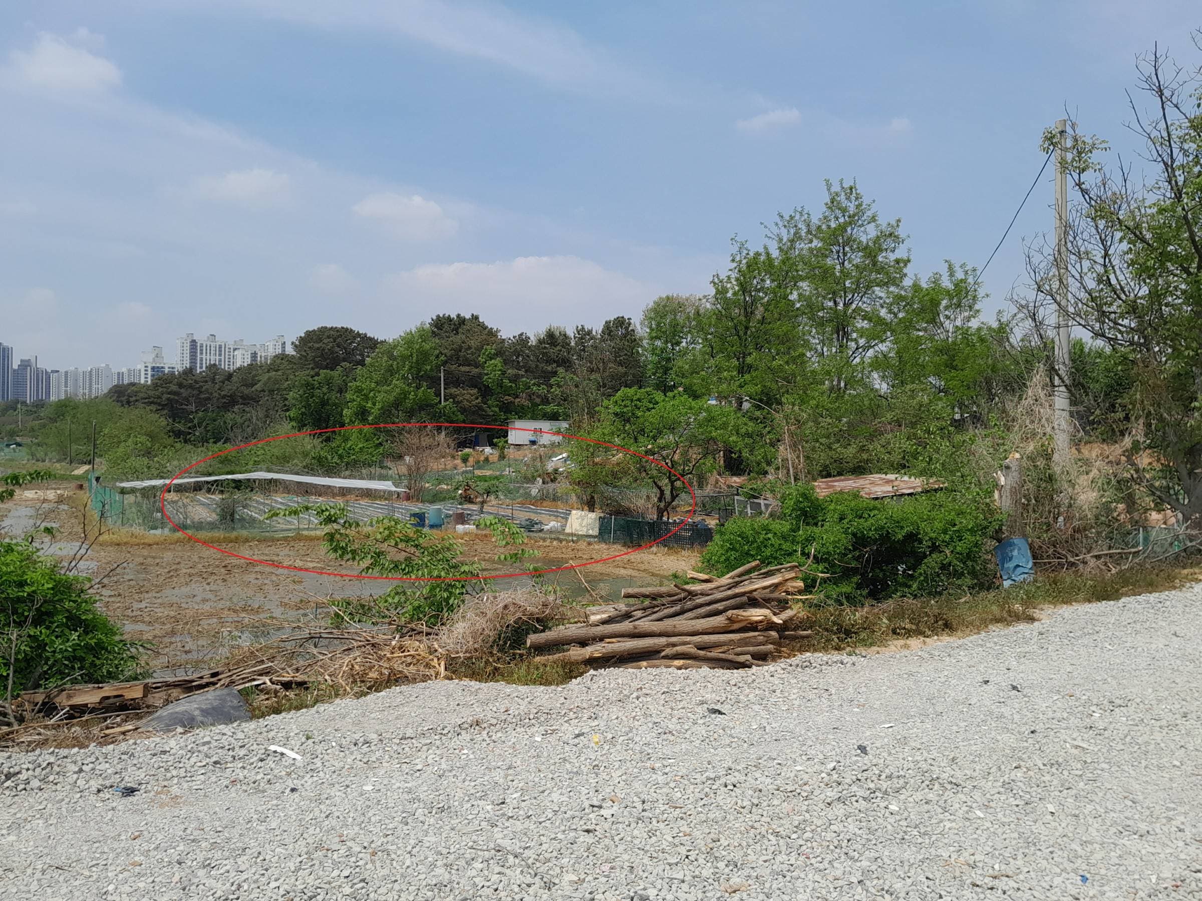 충청남도 천안시 동남구 청당동 77