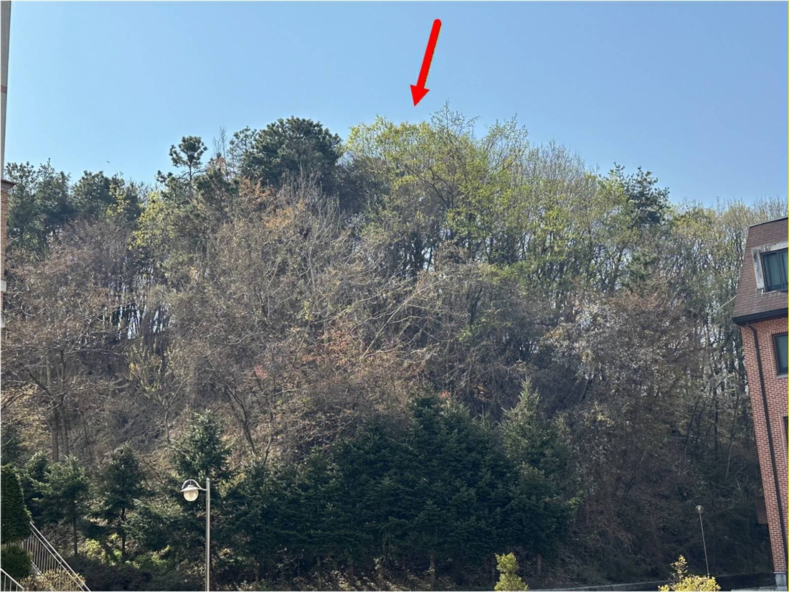 경기도 용인시 기흥구 보정동 산6