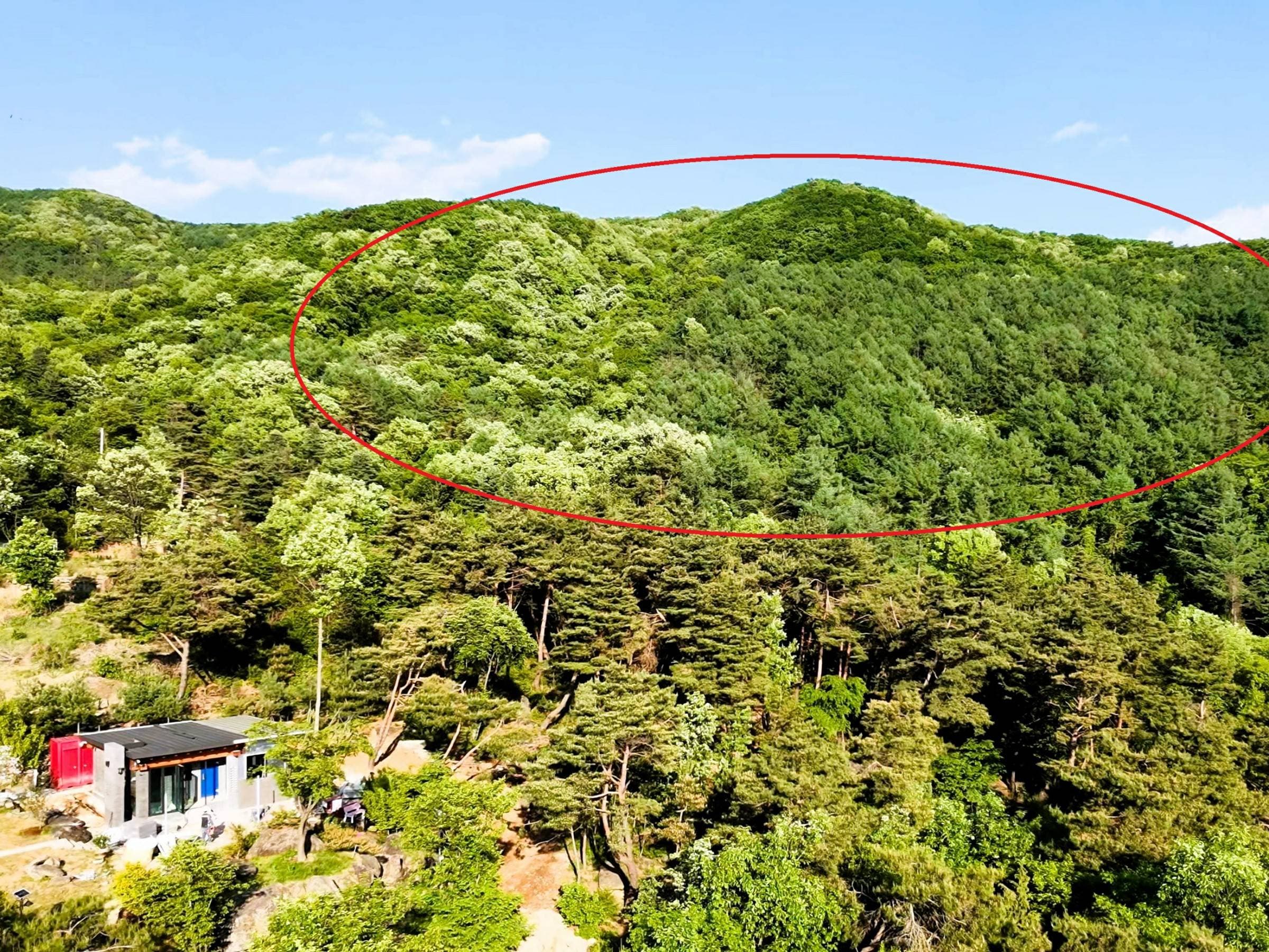 경기도 양평군 옥천면 신복리 산73