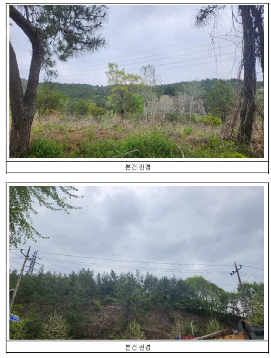 전라남도 영암군 삼호읍 용앙리 산101-13, 산101-10