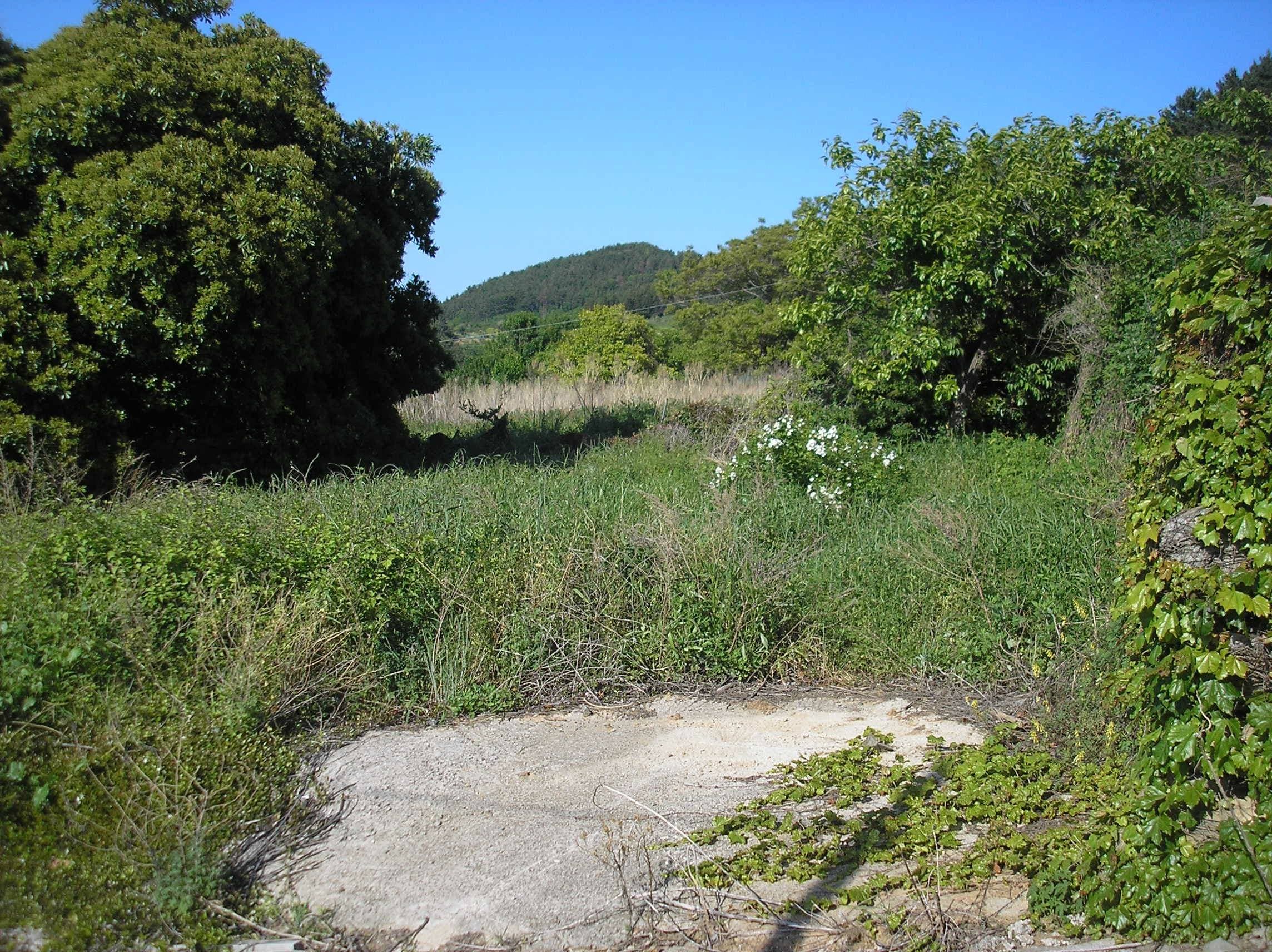 전라남도 여수시 돌산읍 죽포리 315