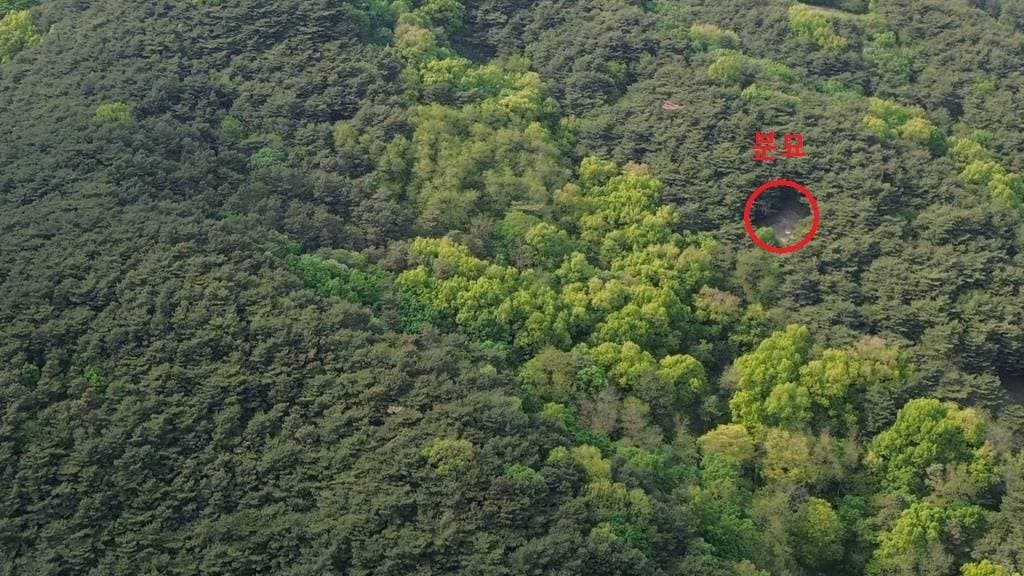 충청남도 홍성군 홍성읍 월산리 산105