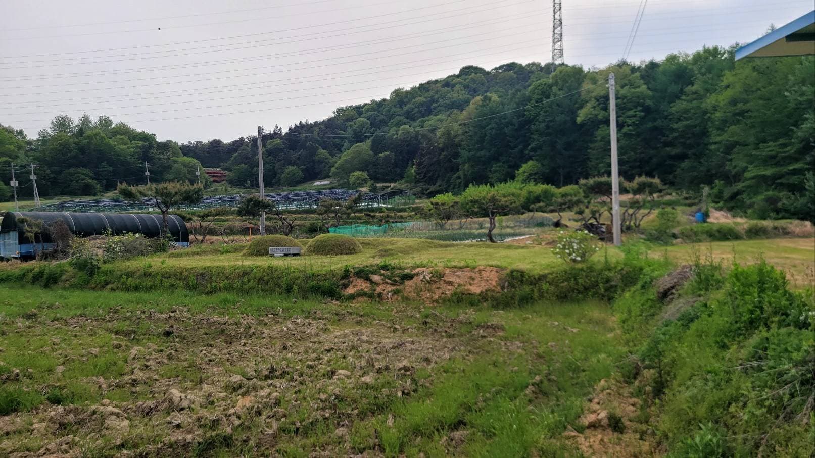 전라남도 담양군 금성면 대성리 378-4