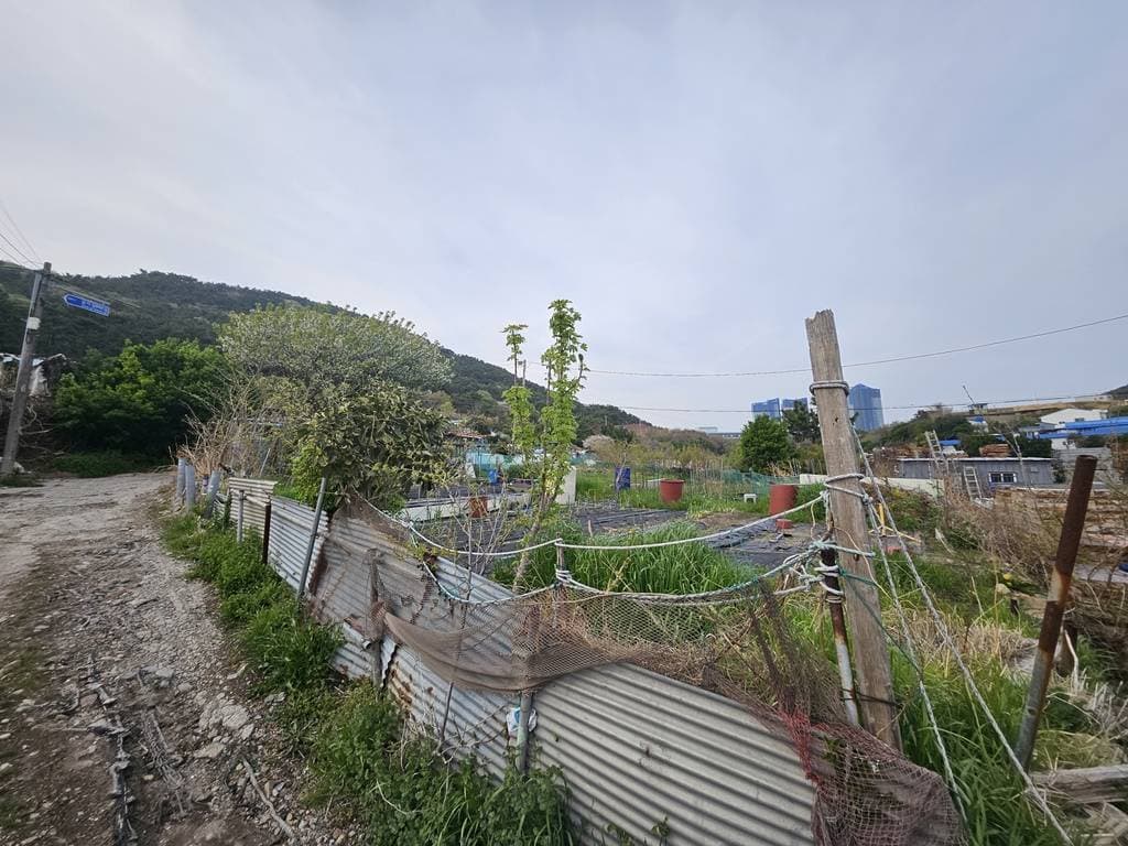 부산광역시 영도구 동삼동 1041