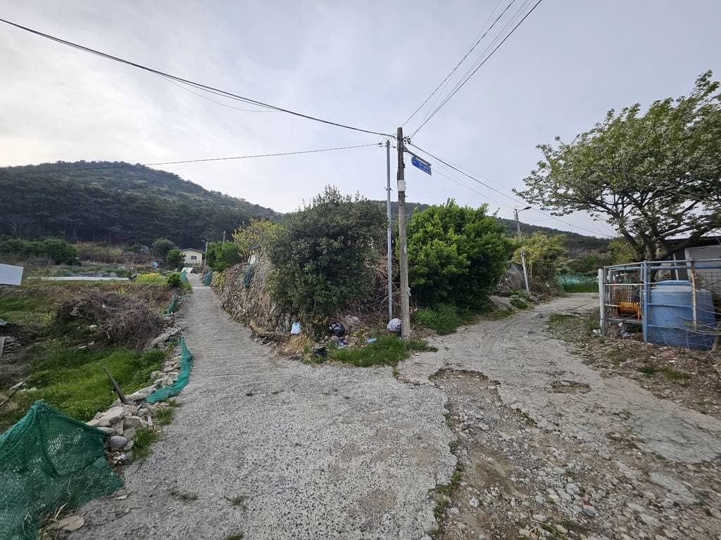 부산광역시 영도구 동삼동 1046