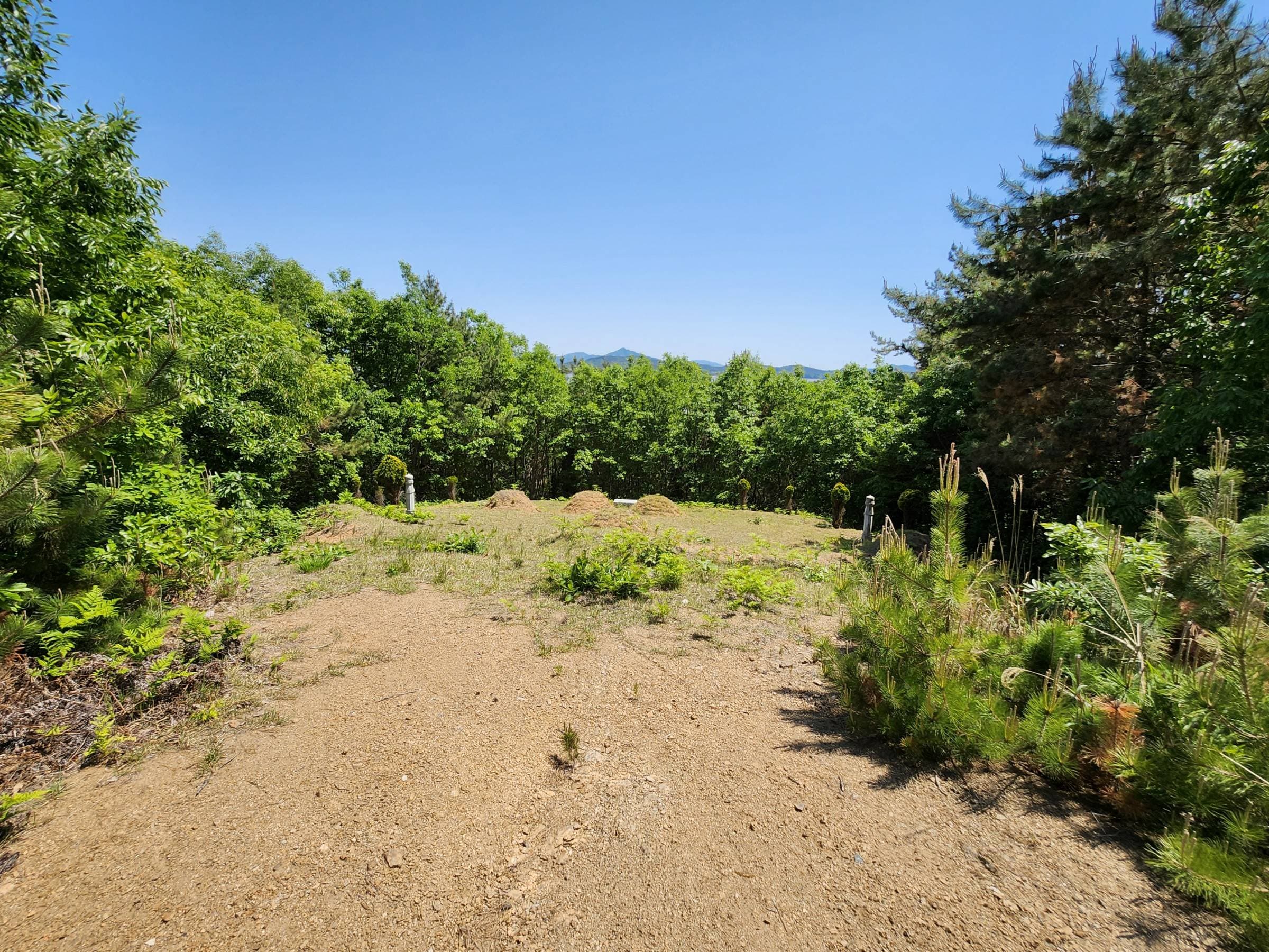 충청남도 태안군 이원면 당산리 산59-5