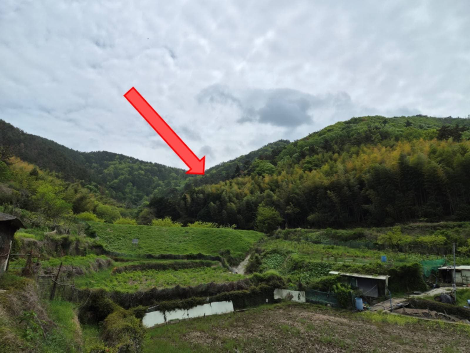 경상남도 거제시 하청면 연구리 산23