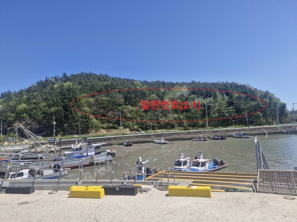 전라남도 장흥군 안양면 사촌리 산92-1