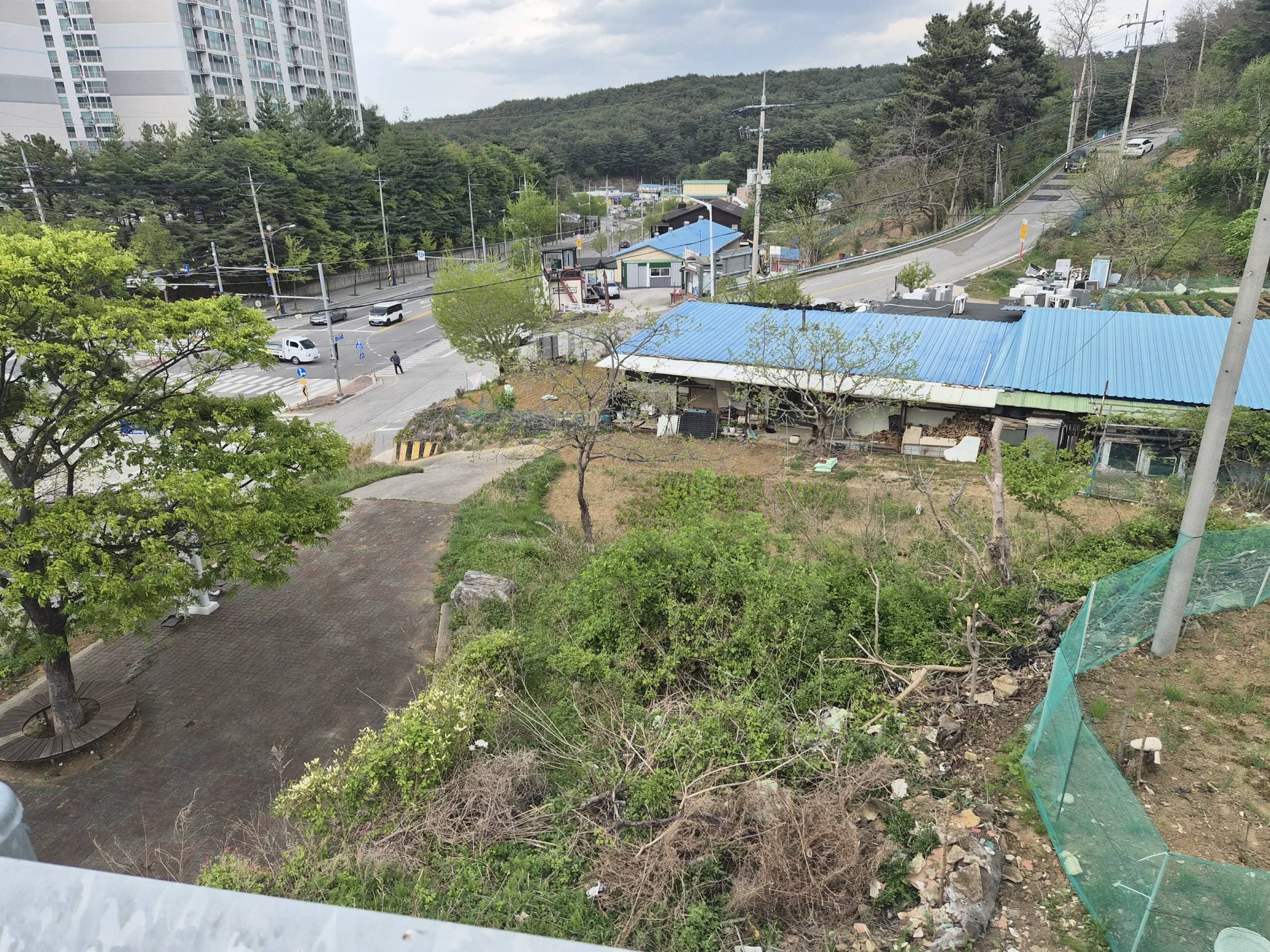 강원특별자치도 삼척시 교동 128-39