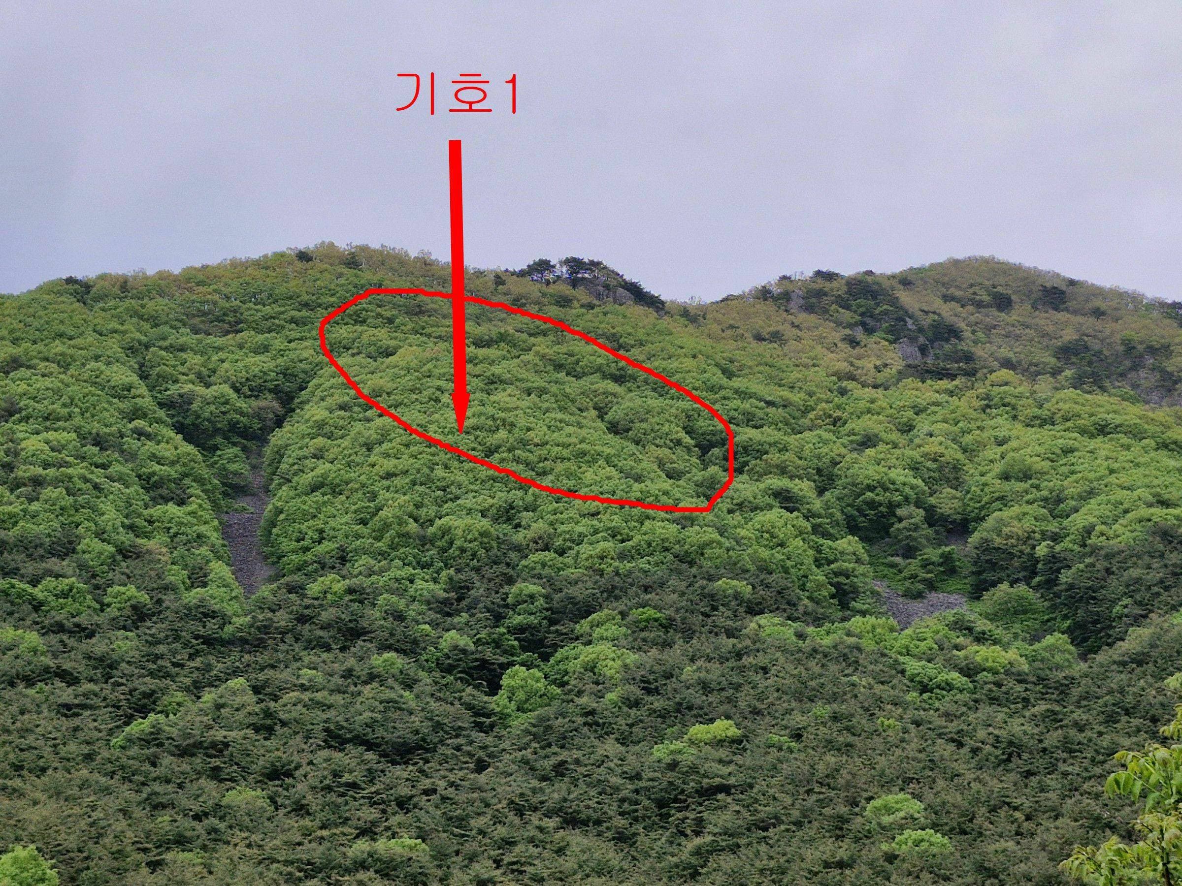 경상남도 의령군 대의면 신전리 산19
