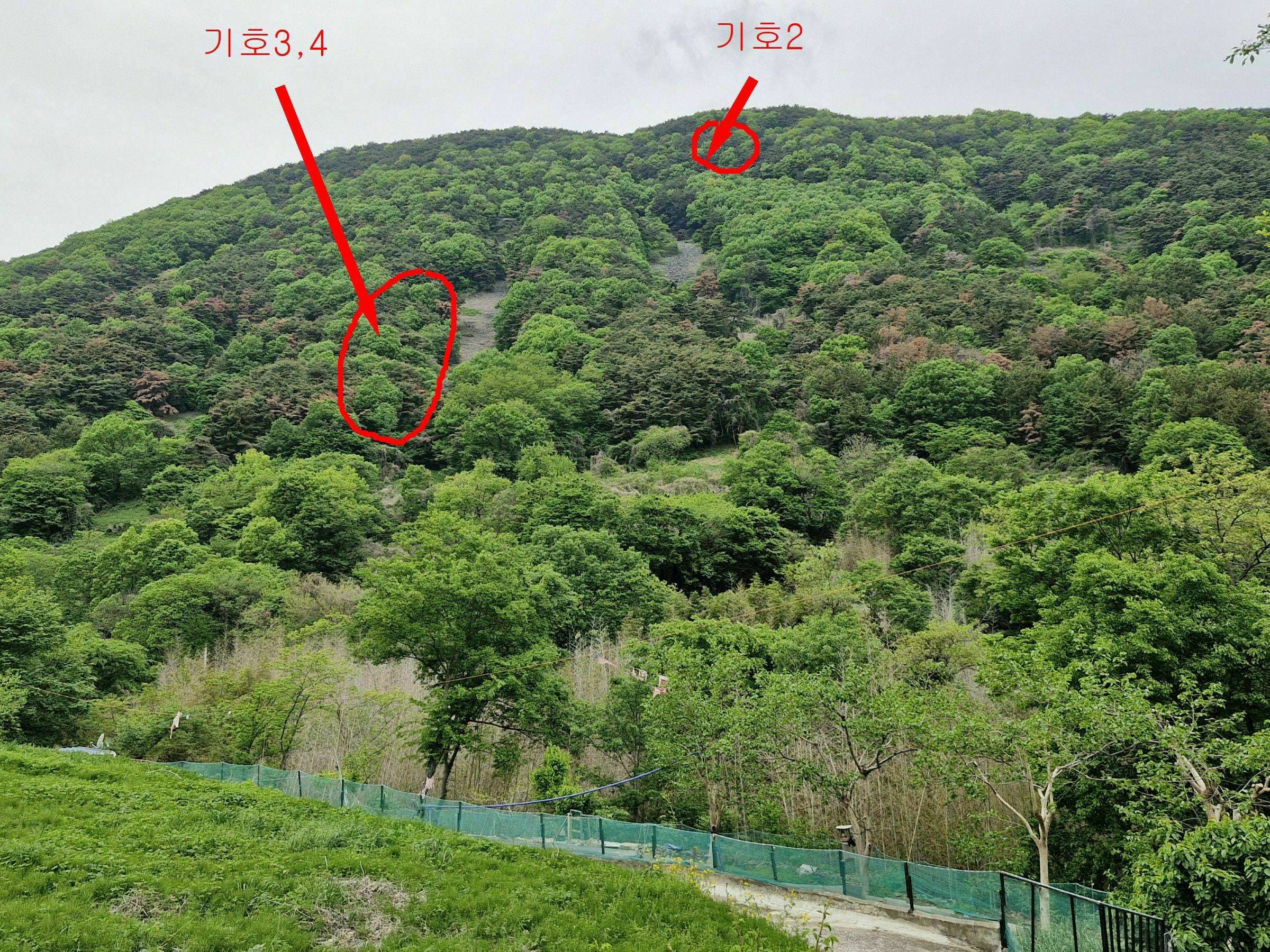 경상남도 의령군 의령읍 중리 산124  , 산135, 산138