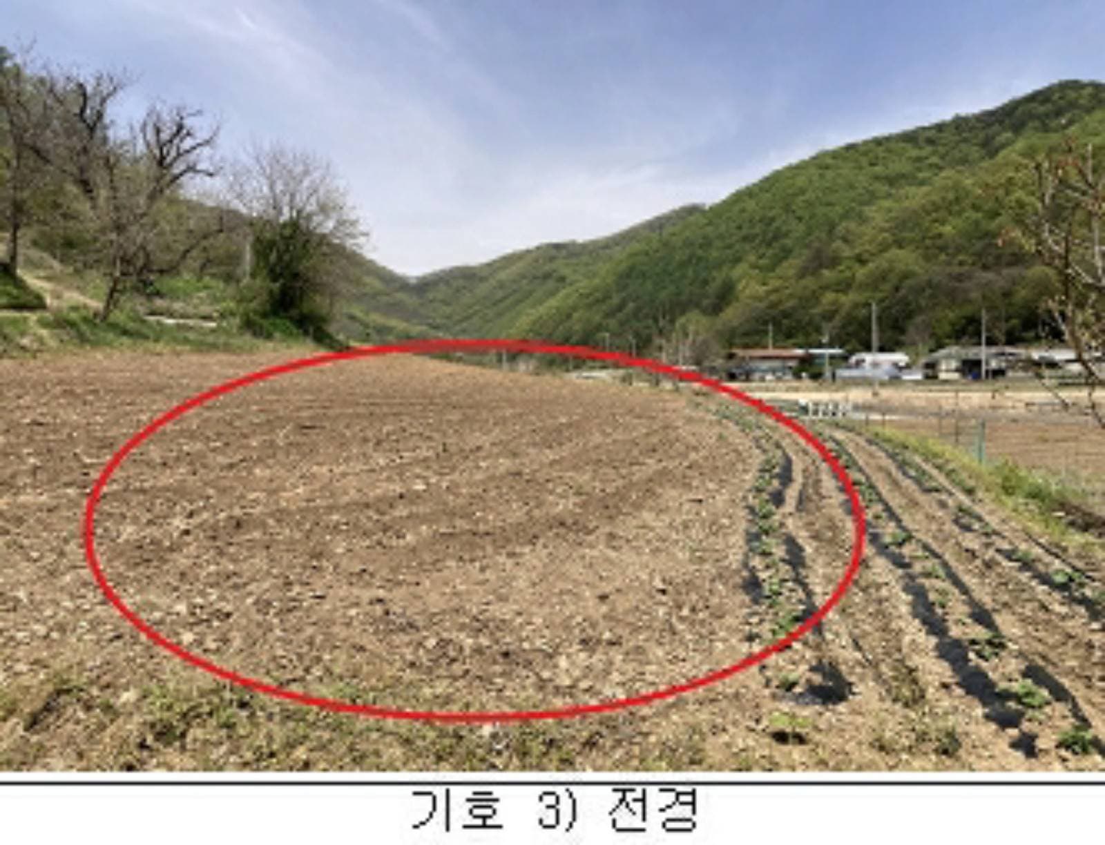충청북도 옥천군 청성면 구음리 146