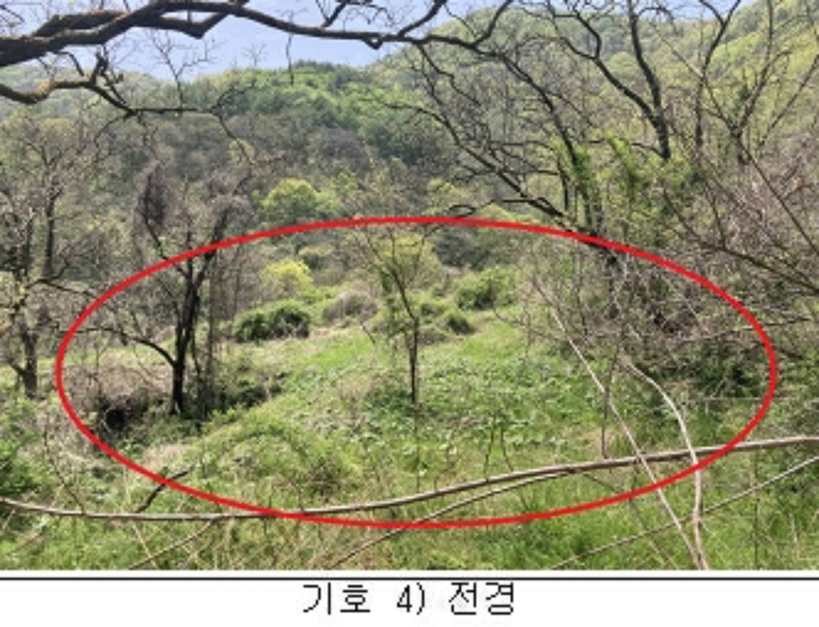 충청북도 옥천군 청성면 구음리 426-1