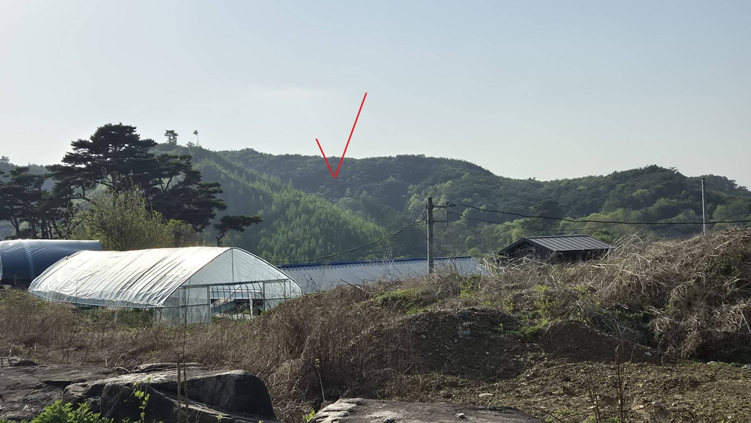 강원특별자치도 춘천시 동면 월곡리 산168