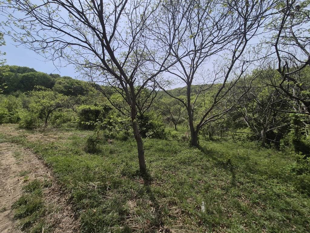 충청남도 공주시 계룡면 기산리 714-1