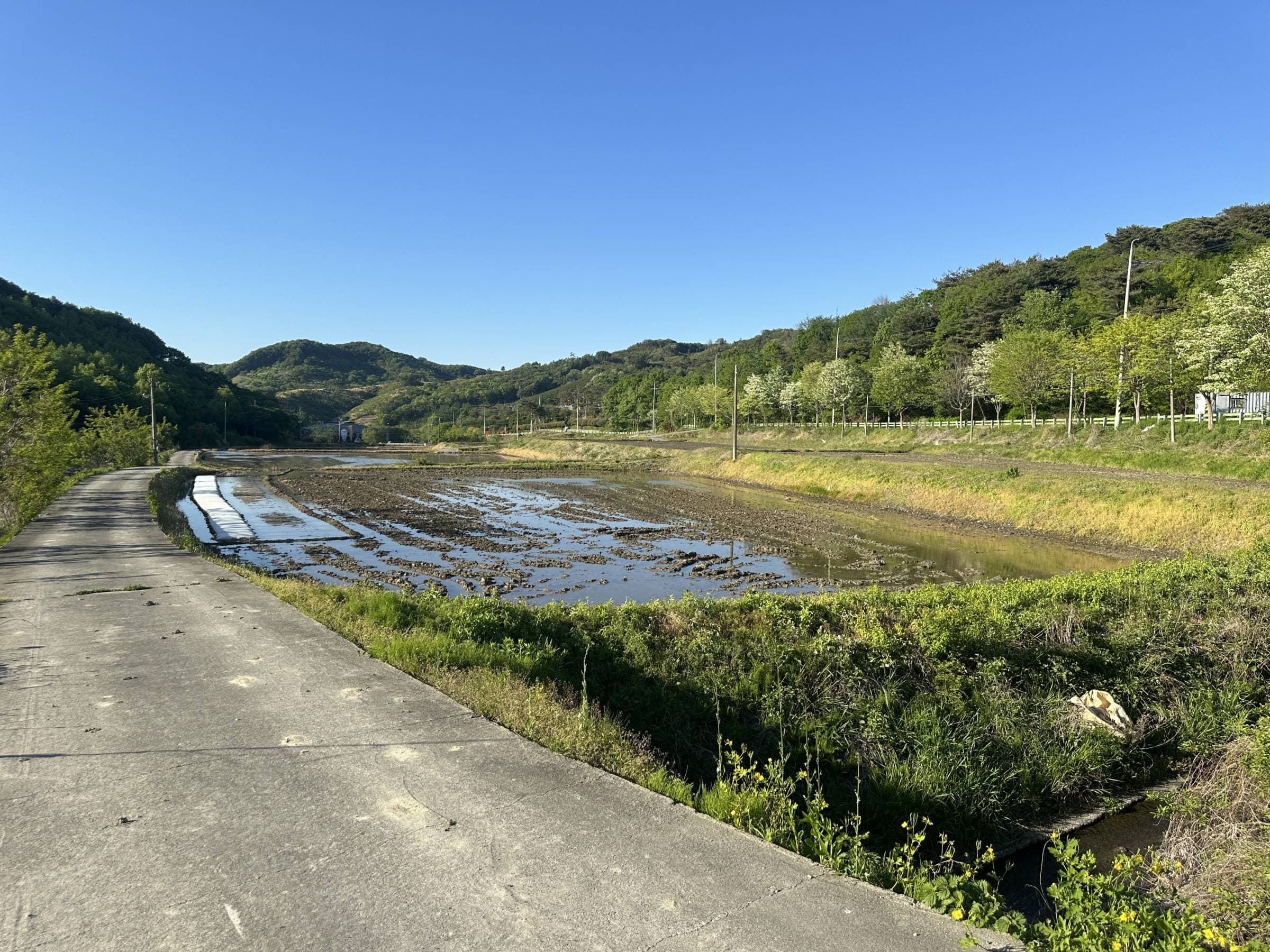 충청남도 부여군 내산면 금지리 503