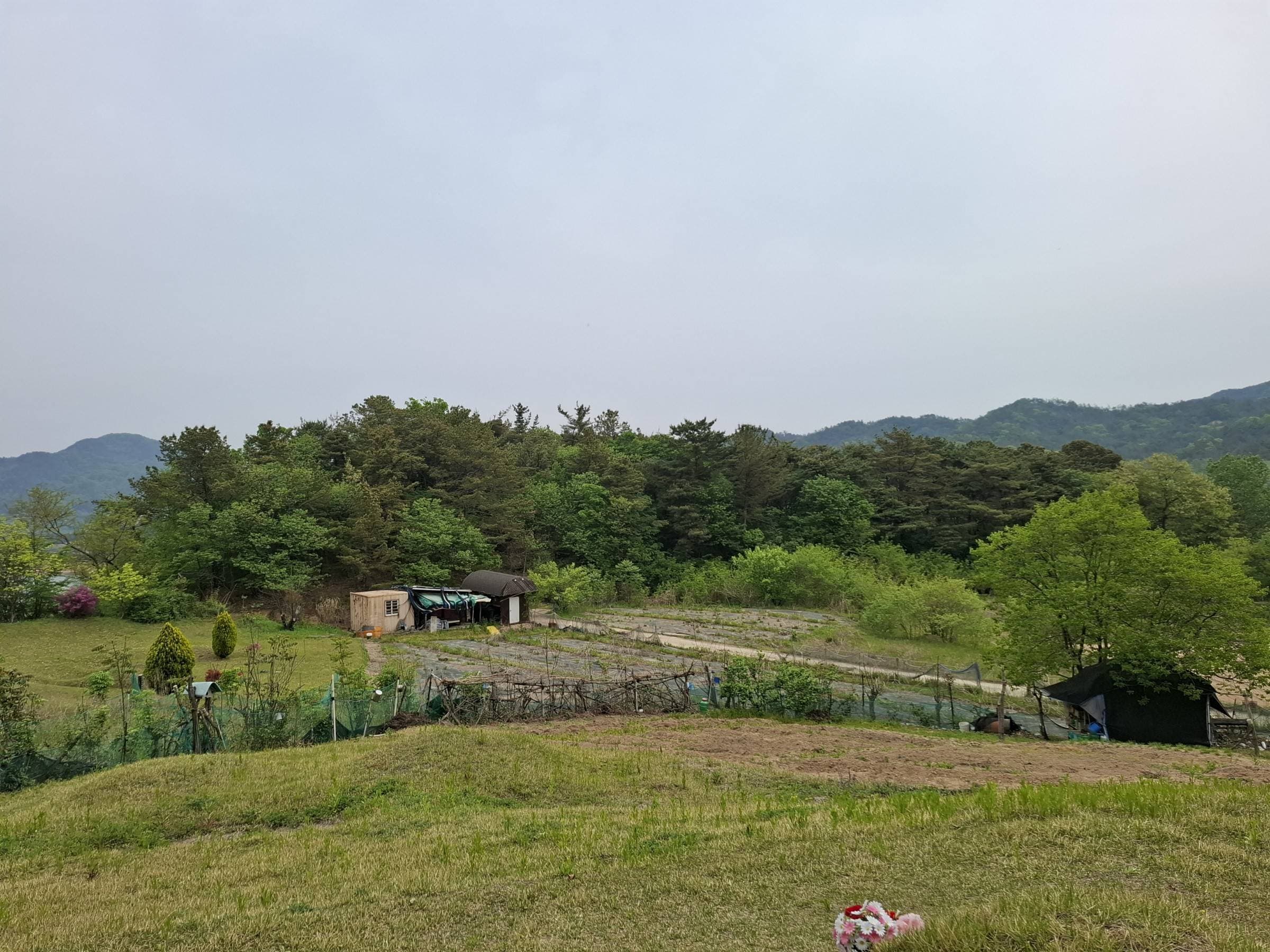 대전광역시 동구 주촌동 산37-3