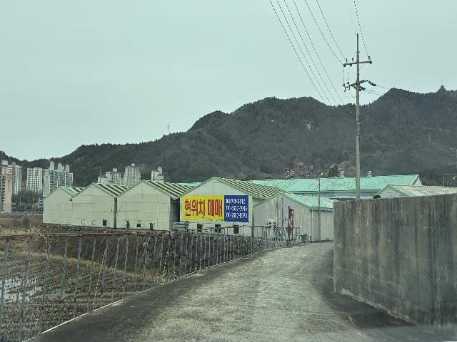 전라남도 보성군 벌교읍 장양리 907-1 동물및식물관련시설