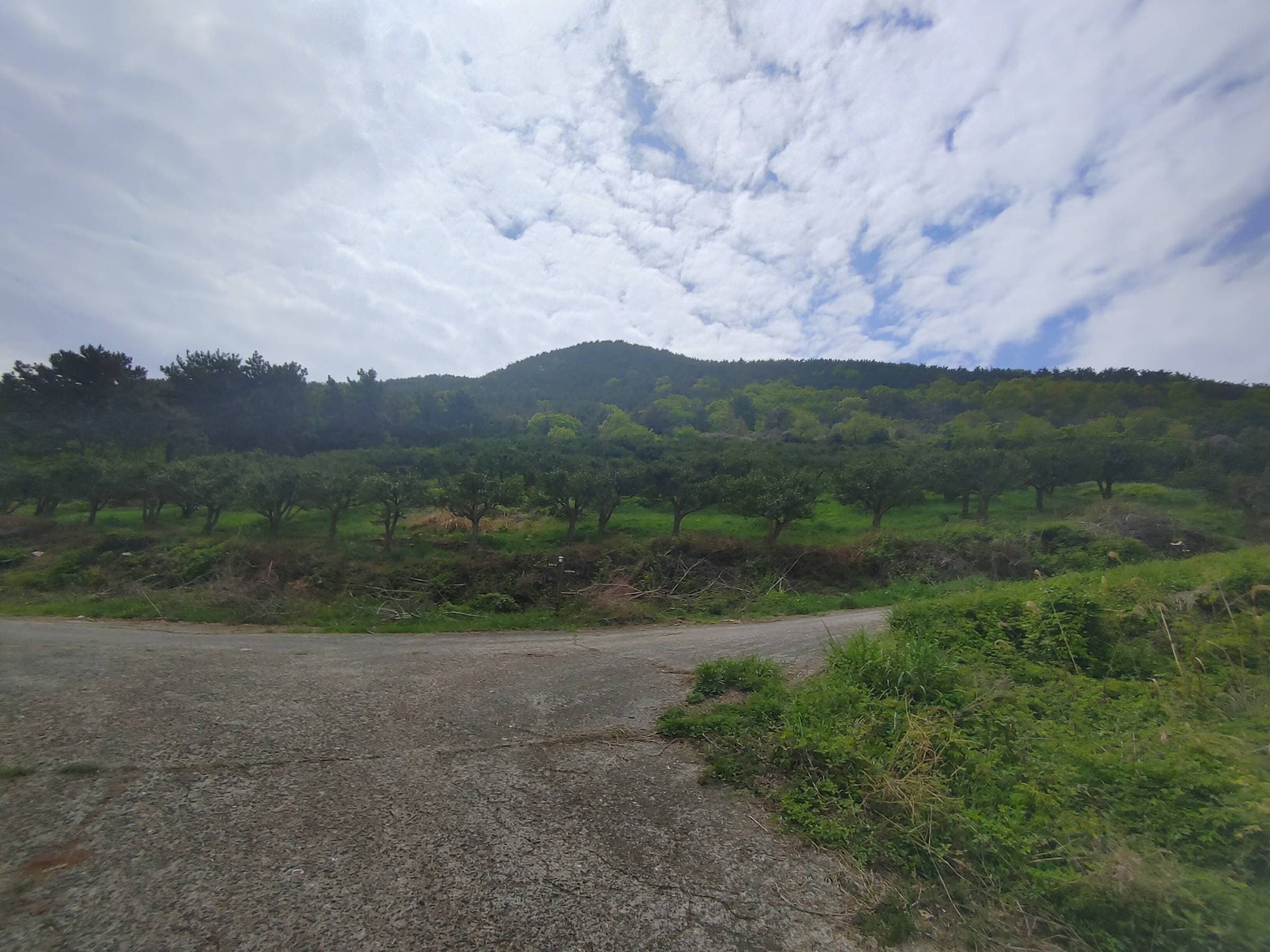 경상남도 거제시 사등면 오량리 산114-5