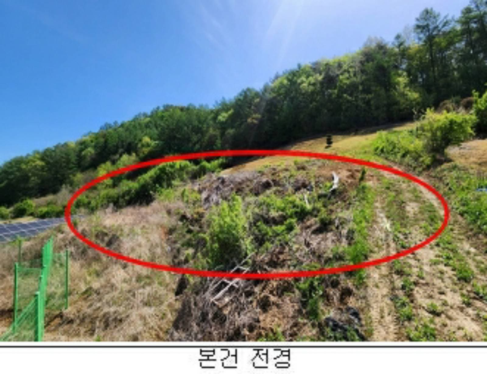 충청북도 괴산군 청천면 덕평리 산39-4