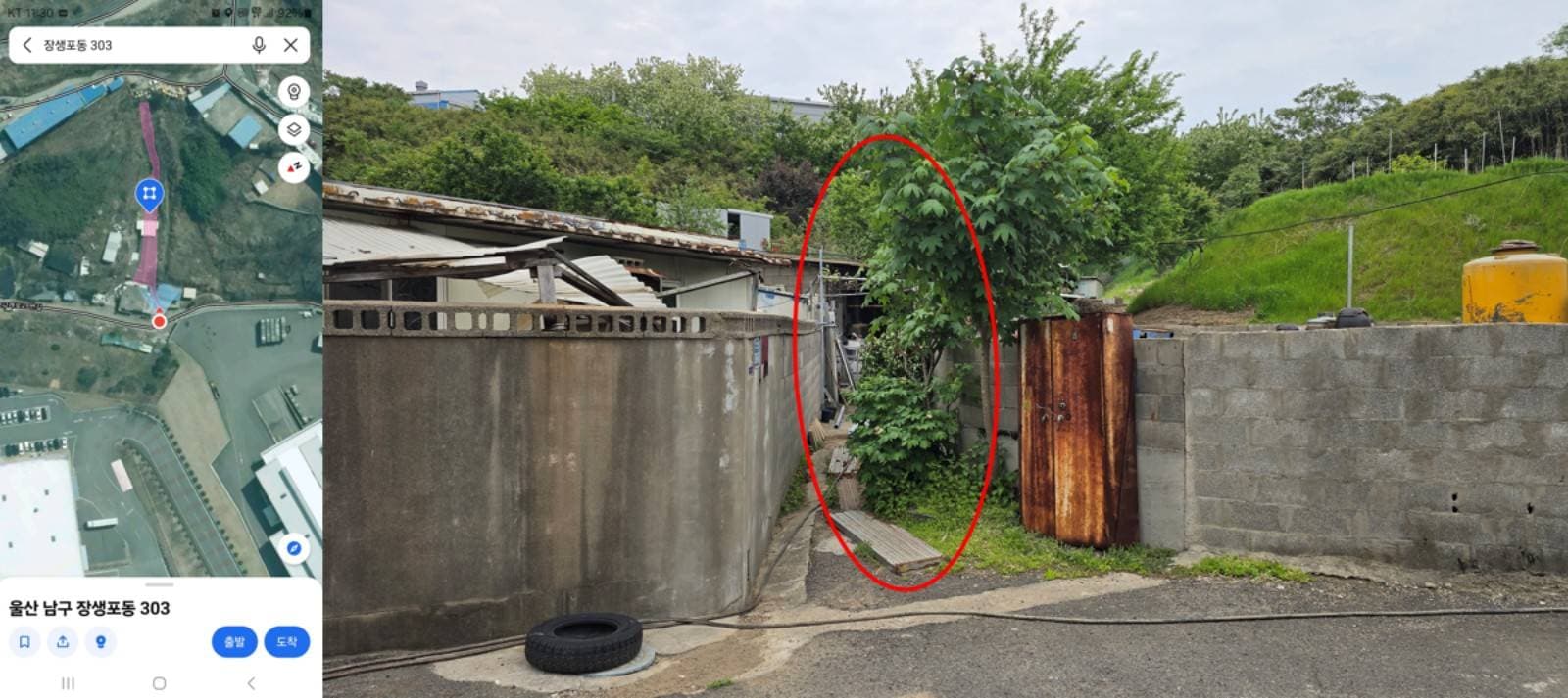 울산광역시 남구 장생포동 303