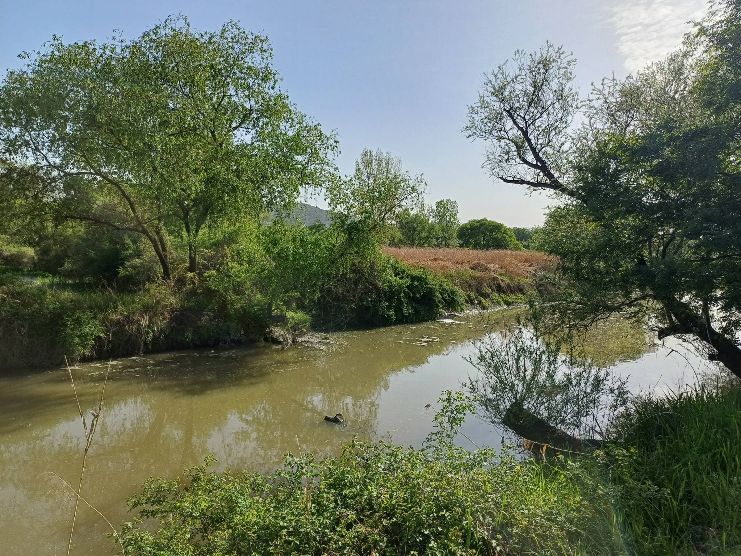경상남도 김해시 한림면 안하리 1142-1