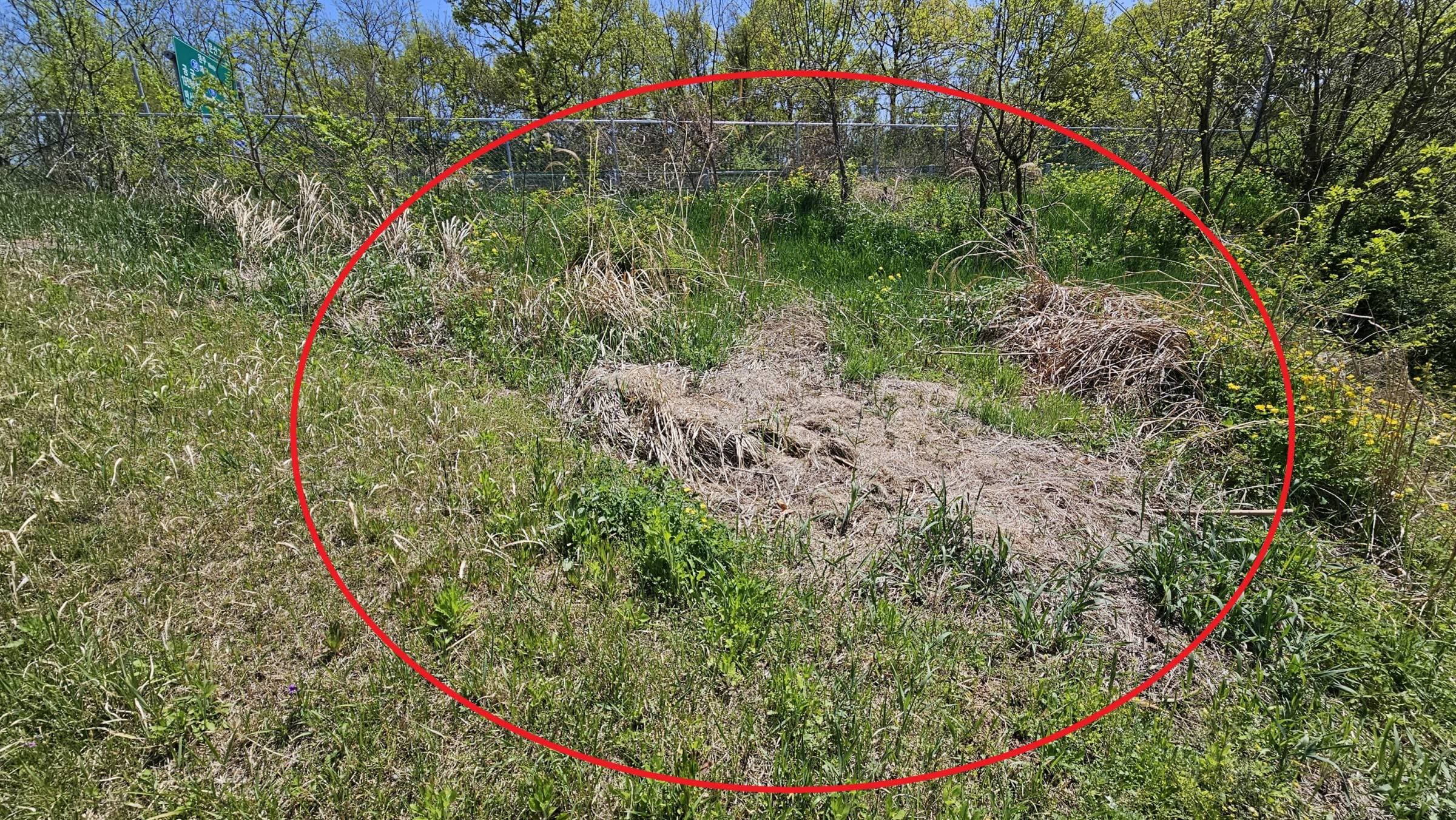 충청북도 충주시 금가면 문산리 203-7, 산21-3