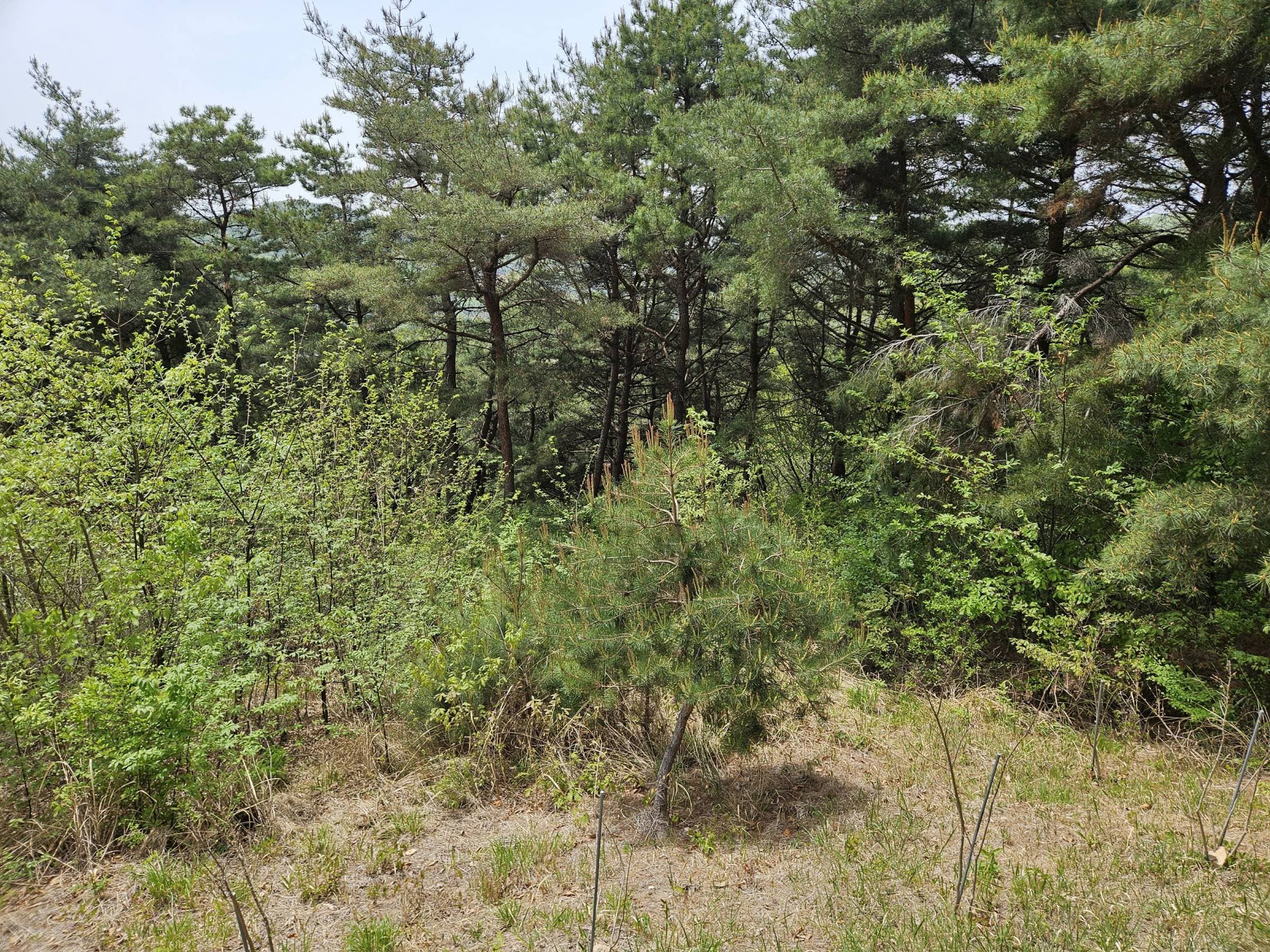 대전광역시 유성구 세동 산16-2