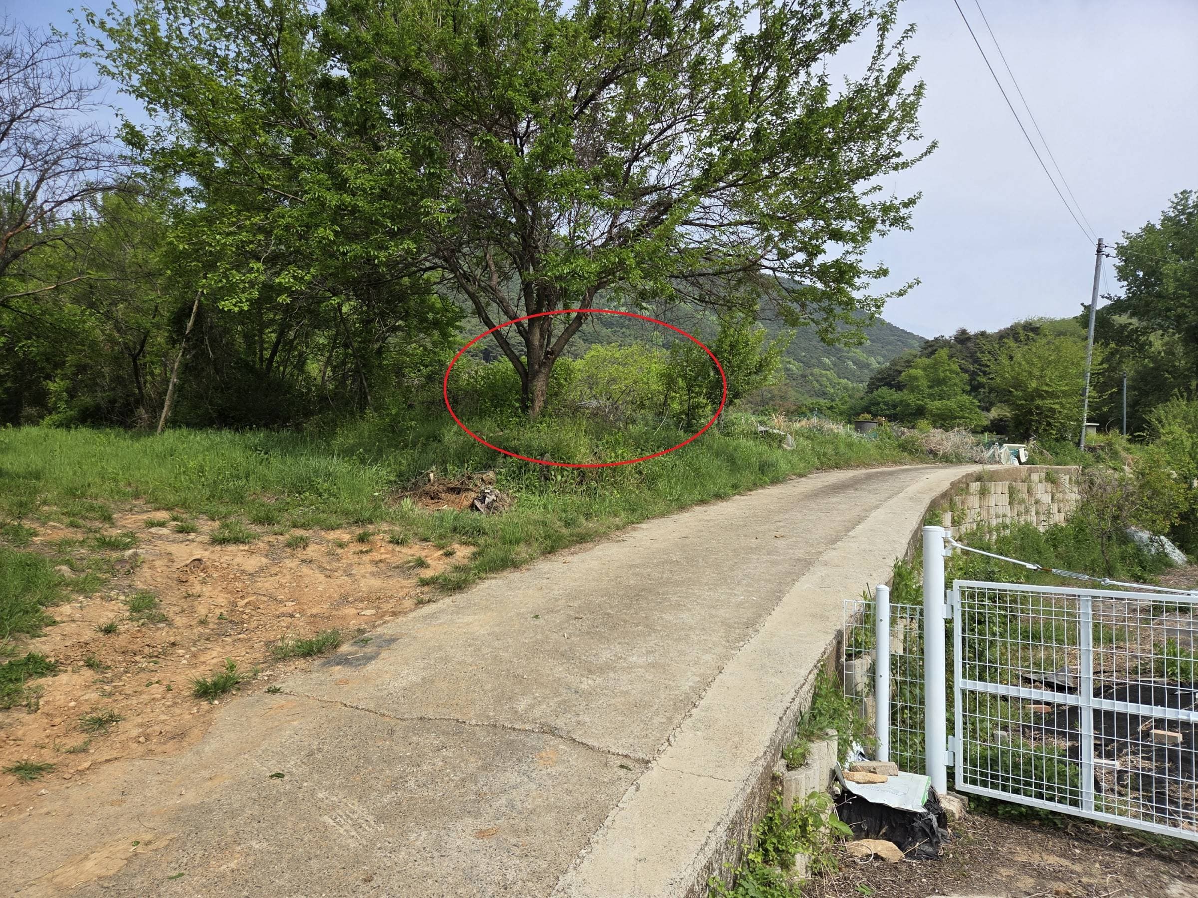 대구광역시 달성군 논공읍 노이리 494
