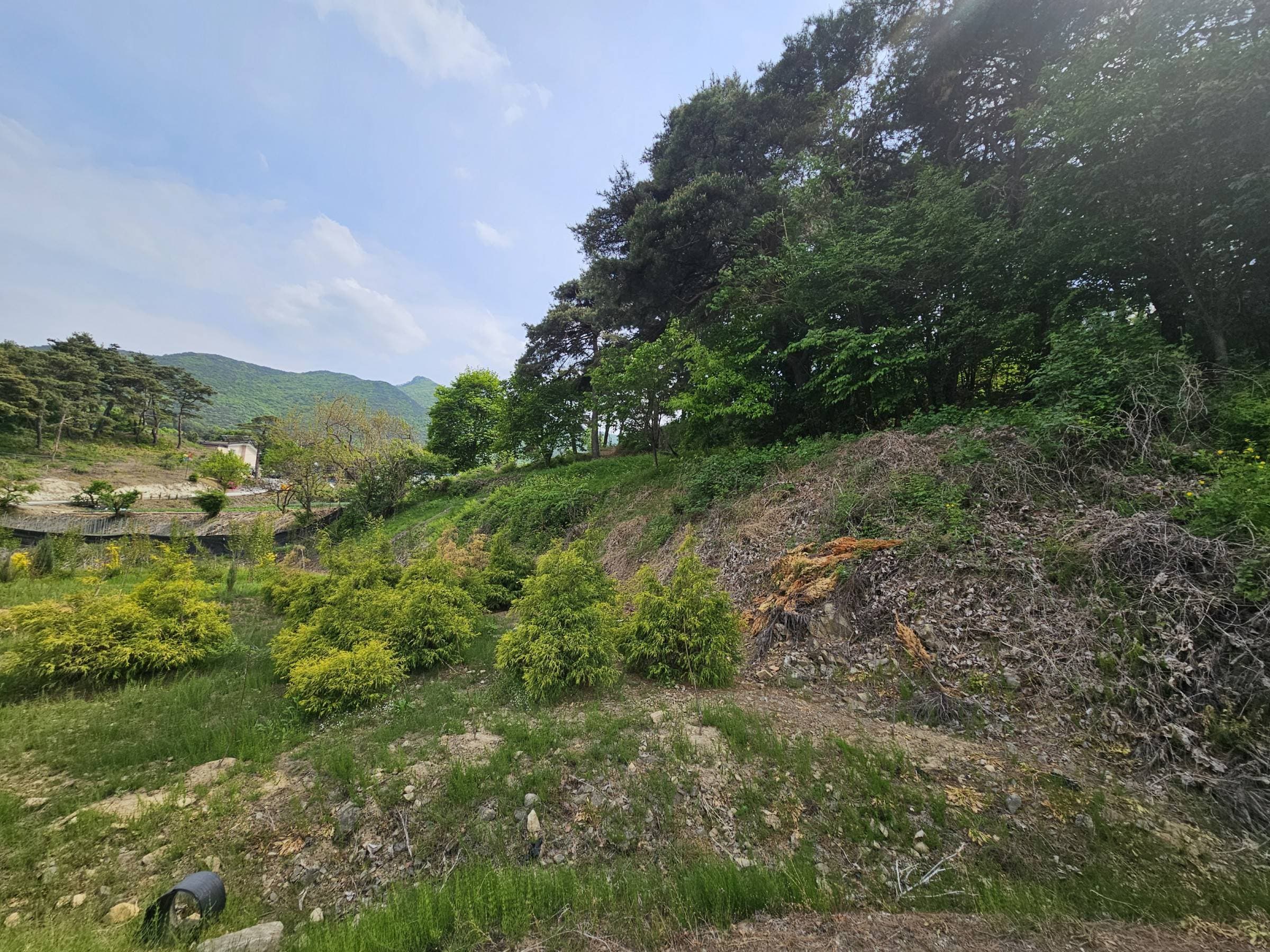 충청북도 괴산군 칠성면 율지리 294