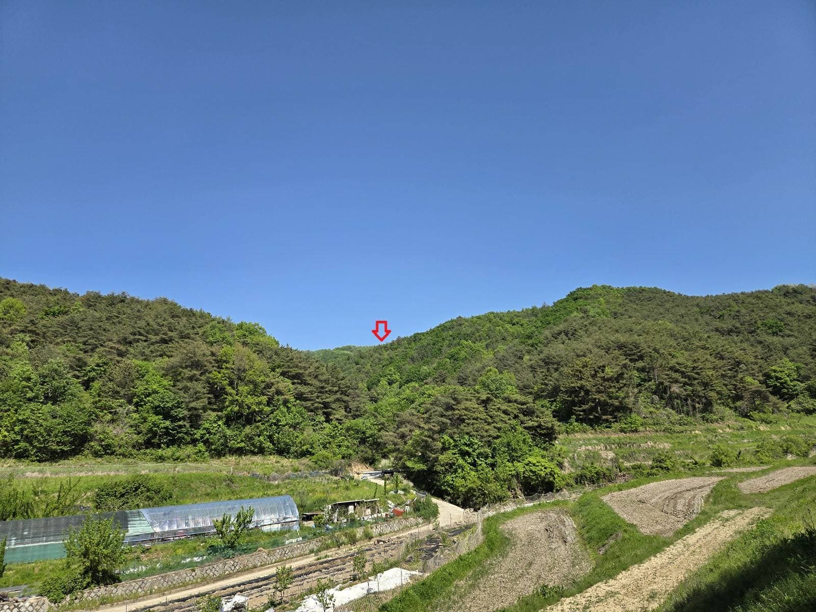 경상북도 칠곡군 가산면 석우리 산105-1