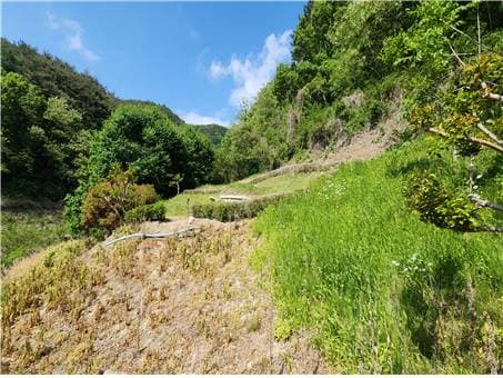 경상북도 경주시 산내면 감산리 1762