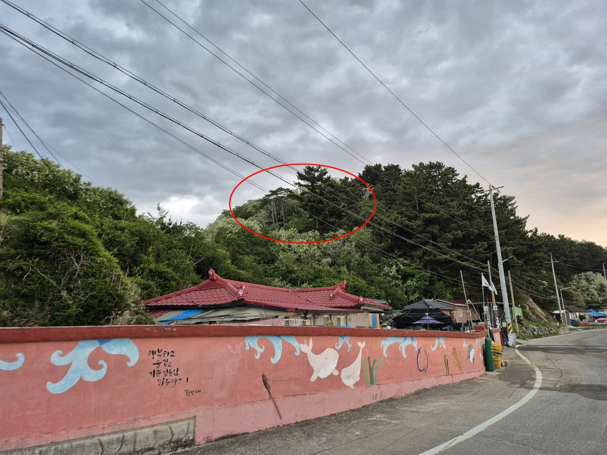 경상북도 울진군 울진읍 연지리 84-2