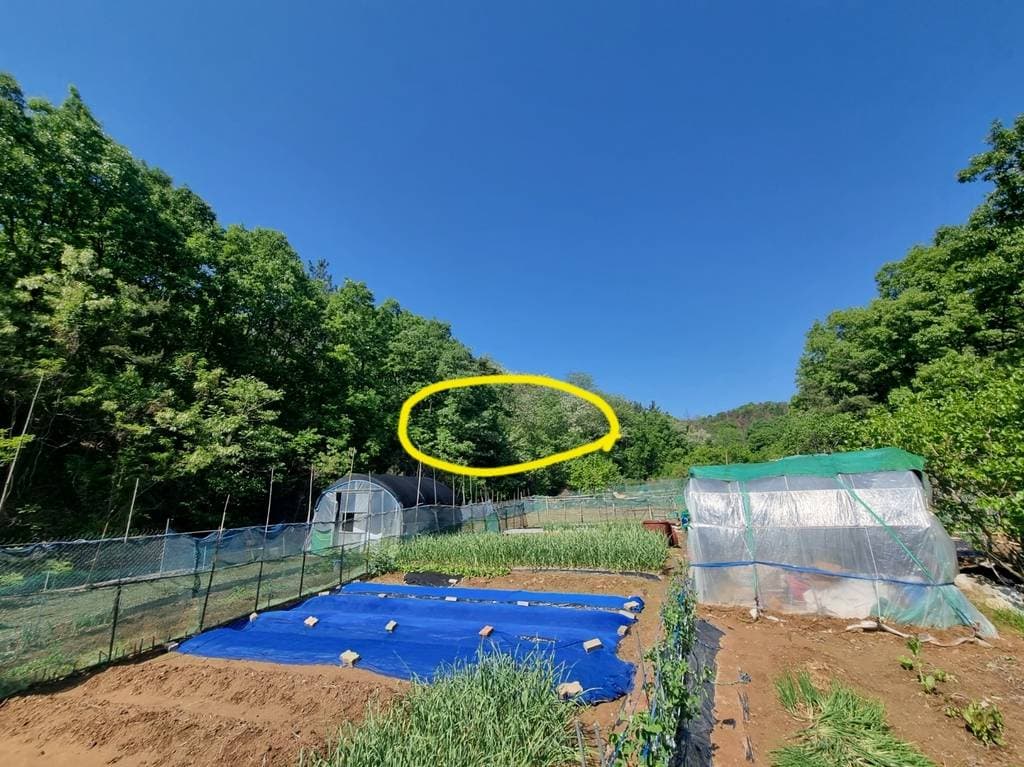 대구광역시 달성군 다사읍 매곡리 산103
