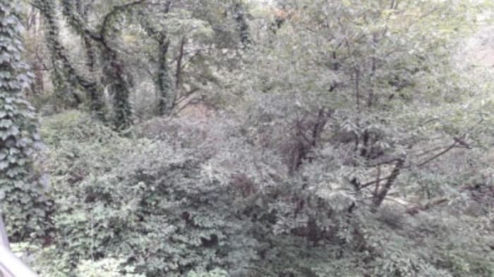서울특별시 종로구 평창동 425-2