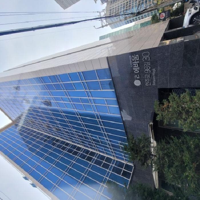 서울특별시 강남구 역삼동 703 리에바움오피스텔  10층1003호