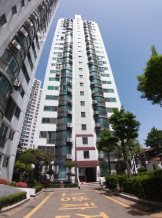 서울특별시 영등포구 대림로 256, 제102동 제6층 제602호 (대림동, 성원아파트)