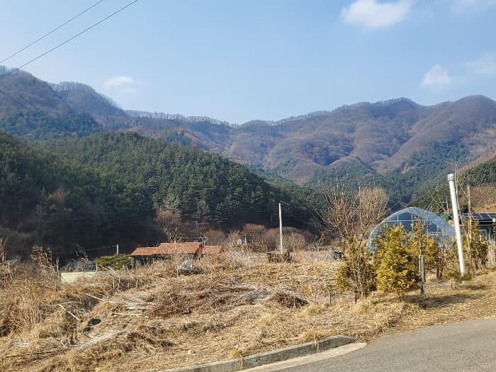 경기도 포천시 관인면 사정리 산540