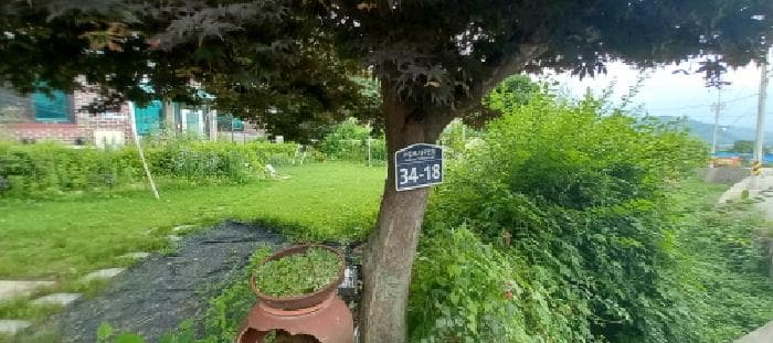 경기도 포천시 일동면 수입리 456-3