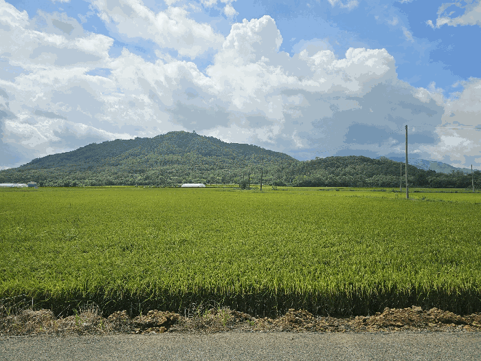 강원특별자치도 철원군 철원읍 중리 394