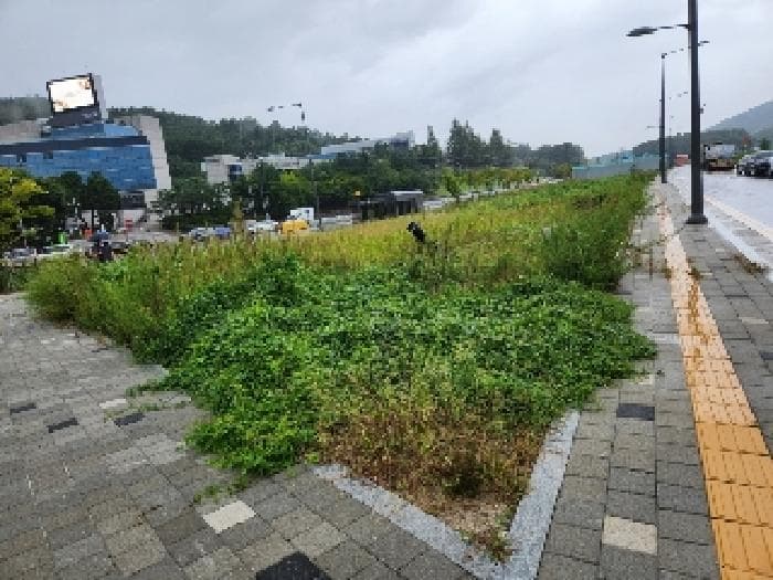 경기도 양주시 마전동 459-8