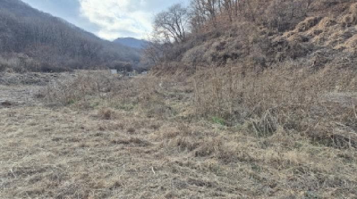강원특별자치도 철원군 철원읍 화지리 343